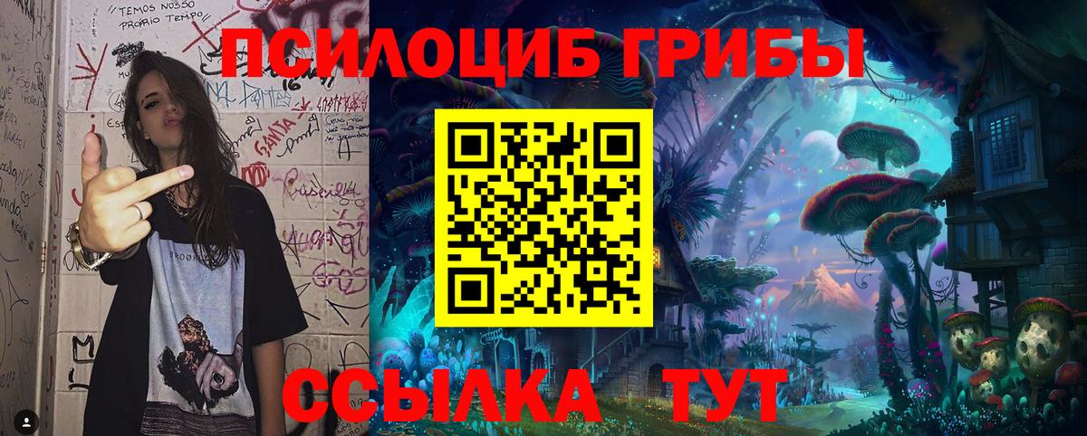 Балтийск  Галлюциногенные грибы мухоморы  Вход с VPN 